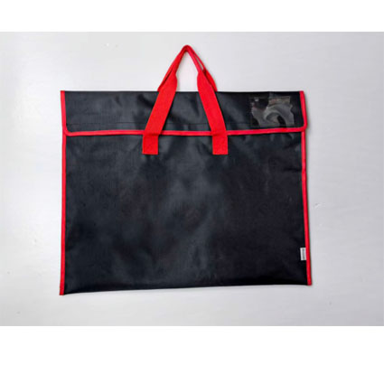 Portfolios·Carry Bags